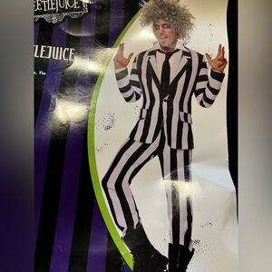 Beetlejuice Adult Costume